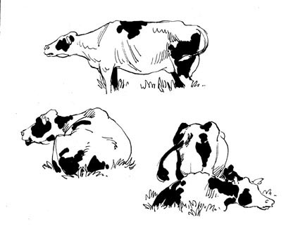 julie ricossé croquis 8